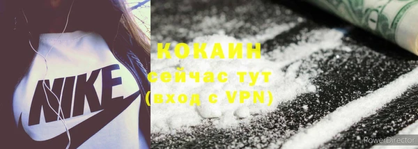 прущие грибы Сафоново
