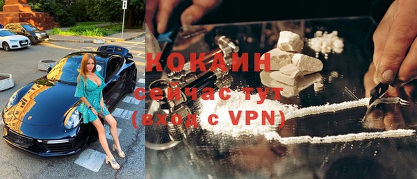 прущие грибы Сафоново