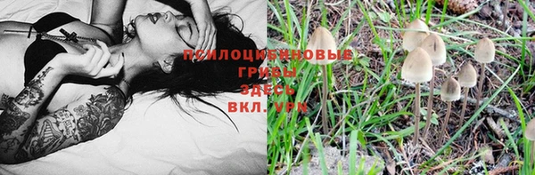 амф Зерноград