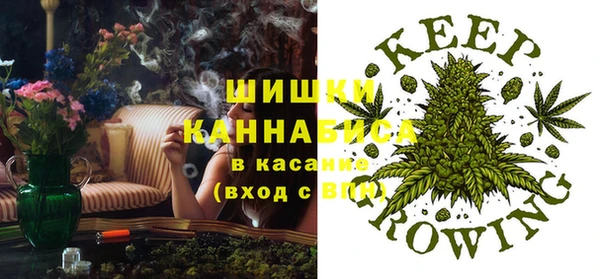 ПСИЛОЦИБИНОВЫЕ ГРИБЫ Зеленокумск
