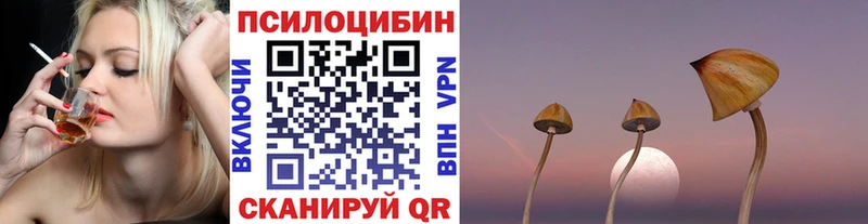 blacksprut маркетплейс Слободской даркнет Telegram Псилоцибиновые грибы прущие грибы