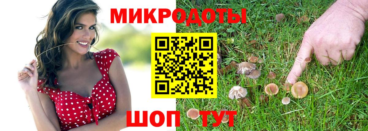 Псилоцибиновые грибы Psilocybine cubensis Слободской